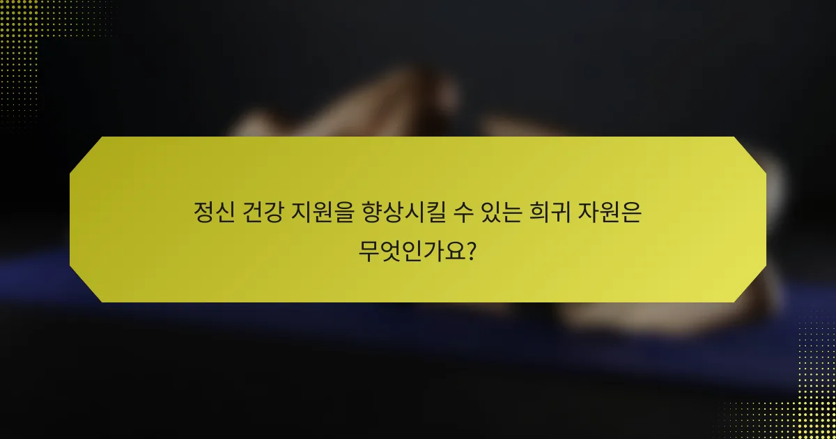 정신 건강 지원을 향상시킬 수 있는 희귀 자원은 무엇인가요?