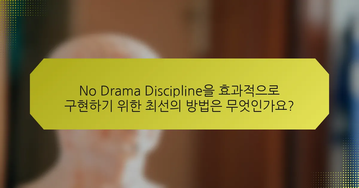 No Drama Discipline을 효과적으로 구현하기 위한 최선의 방법은 무엇인가요?