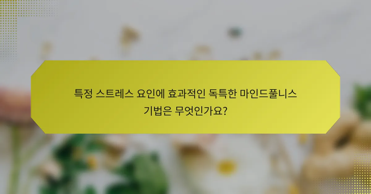 특정 스트레스 요인에 효과적인 독특한 마인드풀니스 기법은 무엇인가요?